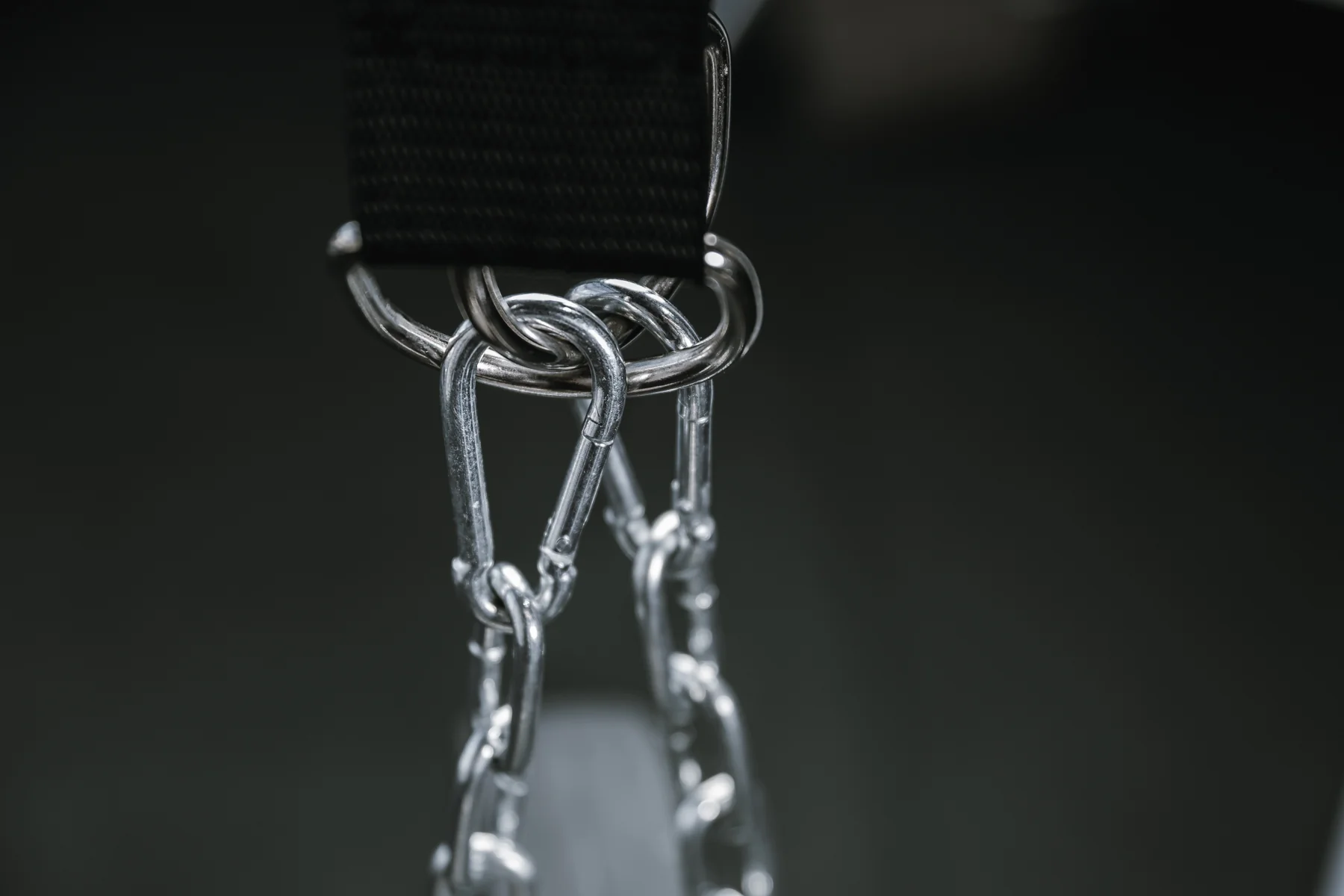 Dip Belt - Image 12
