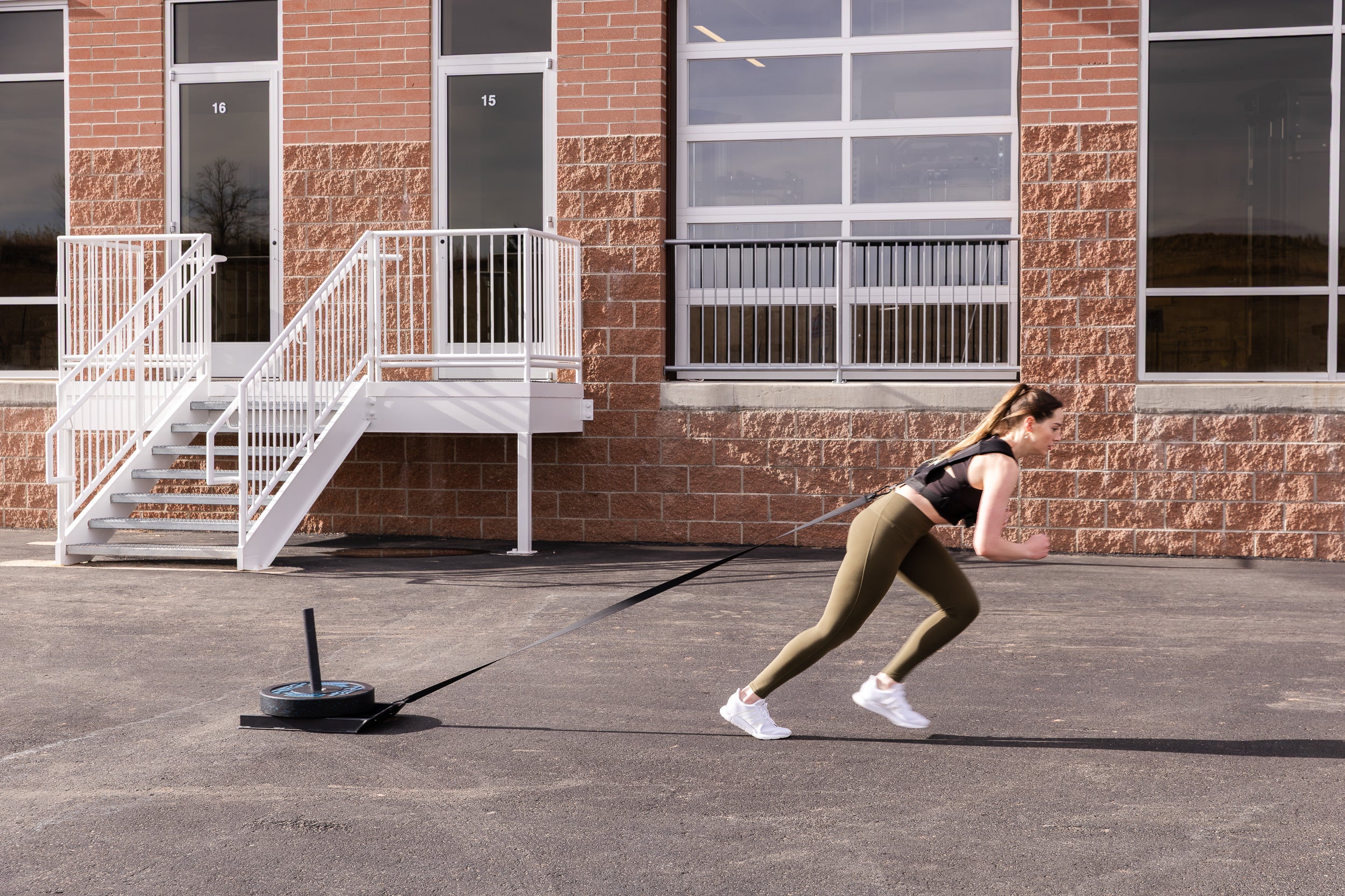 Sled Harness - Image 15
