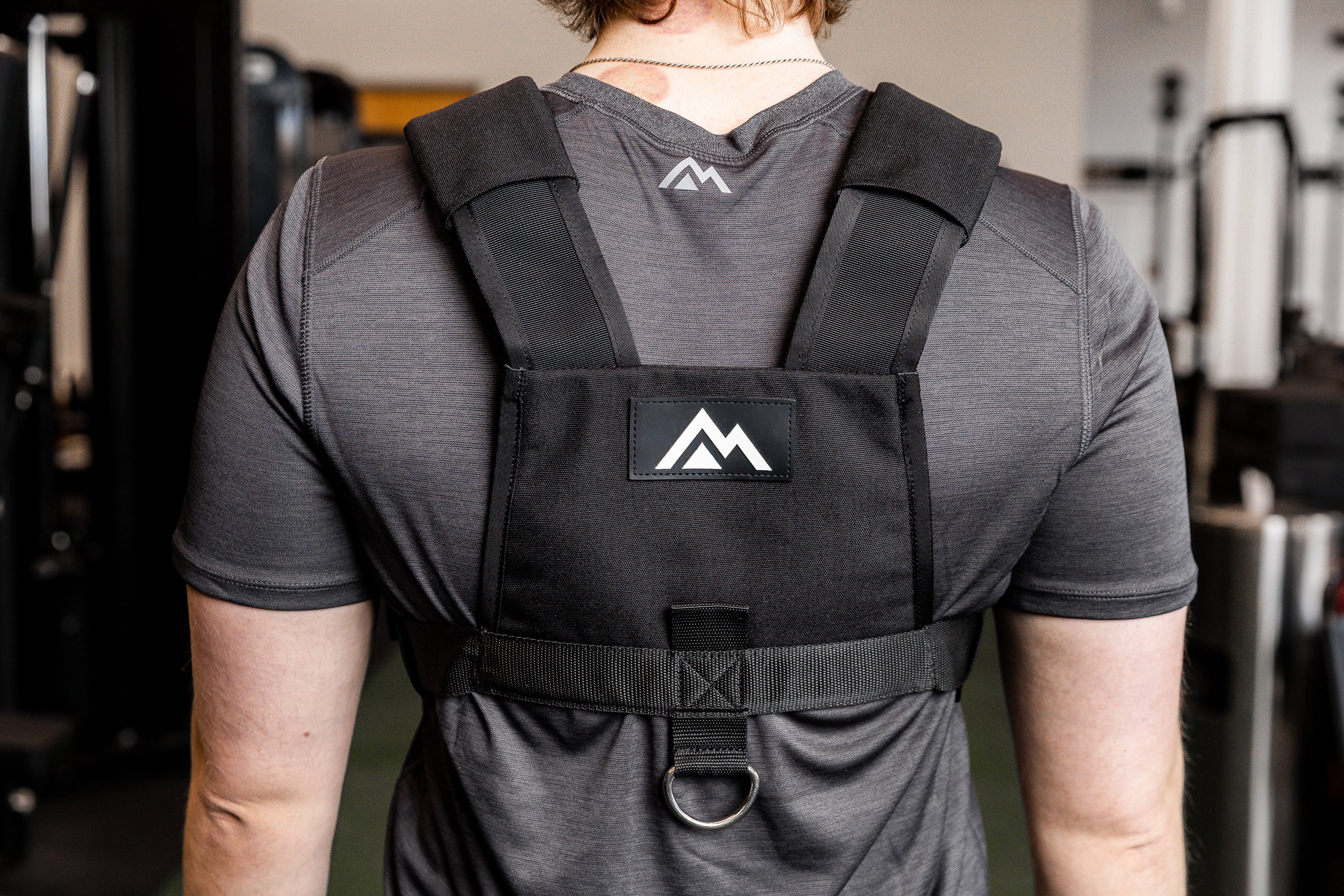 Sled Harness - Image 8